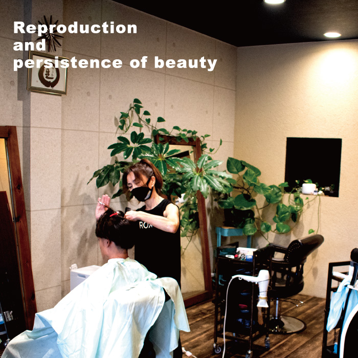 Reproduction and persistence of beauty